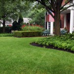 Lawn Maintenance and Lawn Mowing